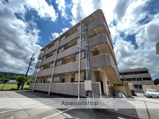 CEDRO VALLEの画像