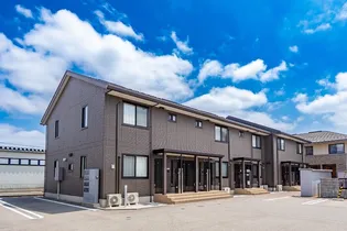D GRACEの画像