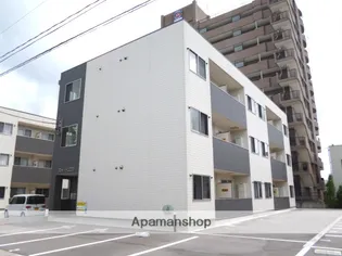 スイートココアの画像