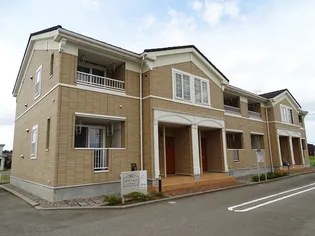 ボアソルテの画像