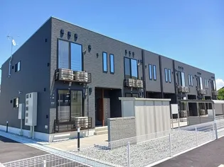 シャインの画像