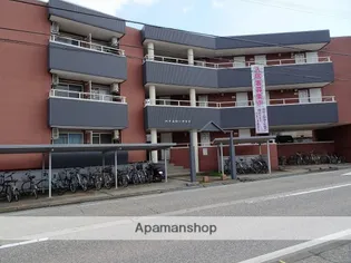 ハイムローデリィの画像