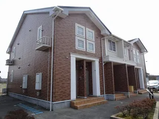 ドンペリニョンの画像