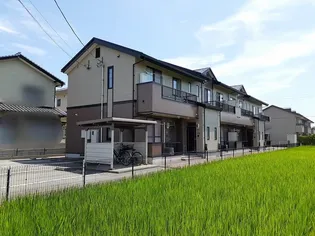 リアルドリームIIの画像