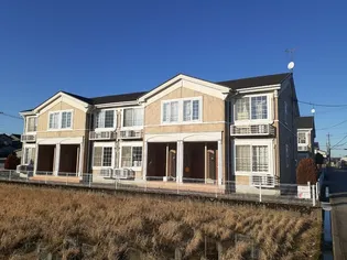 ソフテイル Cの画像