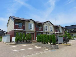 シャン レジーナの画像