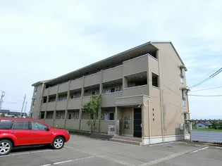 チューリップ フィールドの画像