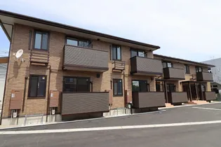 シャイネイトの画像