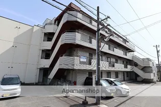 ライト クローバーの画像