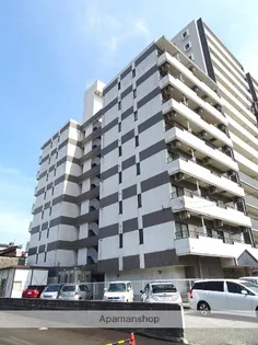 リュミエ白銀の画像