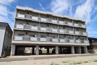 アベニュー本新の画像