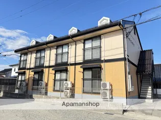 コータースダイワの画像