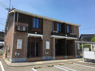 サンライト ムーンの画像
