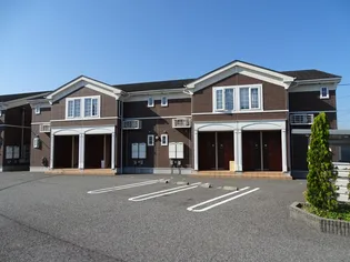 プラシードBの画像