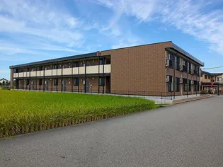 レオパレスシェルテニナガワ【202号室】の外観