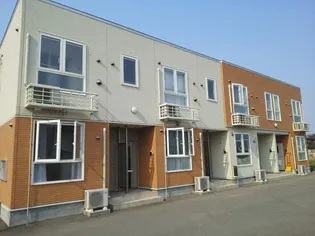 サンフラワー ガーデンの画像