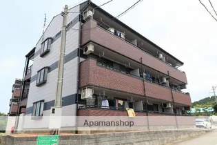 ウェルネスハイツⅡ【3階】の外観