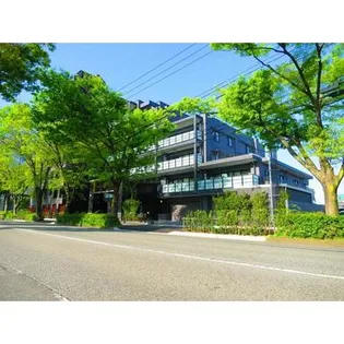 プレミア富山けやき通りの画像