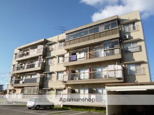 蓮町ヒルズAの画像