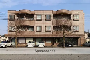 M フンダリーカの画像