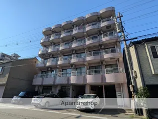 藤ハイツ【3階】の外観