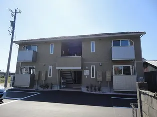 カレンデュラの画像