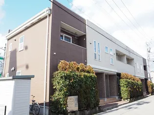 グレイシャスの画像