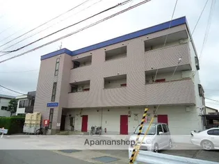 コーエイハイツの画像