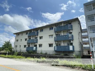 ベンベデール Ⅱの画像