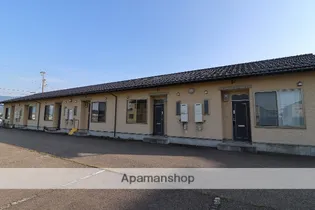 ファンソンの画像