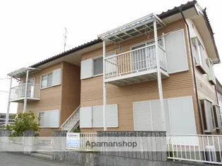 ステラ クオンの画像