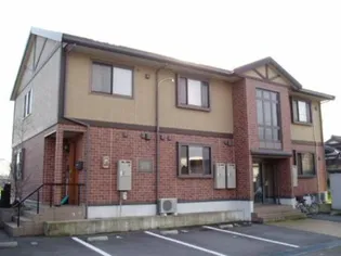 ガーデン花水木の画像