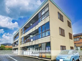 カーサルシールの画像