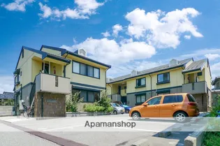 シンシア泉野の画像