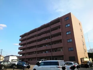 グランデセレッソの画像