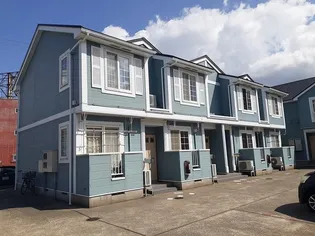 はなみずきの画像