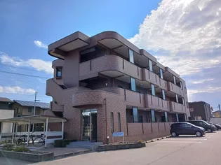 ゾーナ ヴェルデの画像