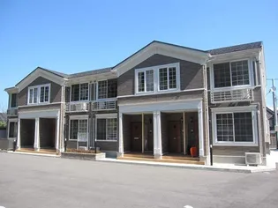 ボニートビオラIIIの画像