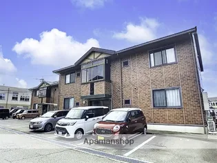 ウィルモアドリームの画像