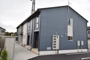 アミスターIIの画像