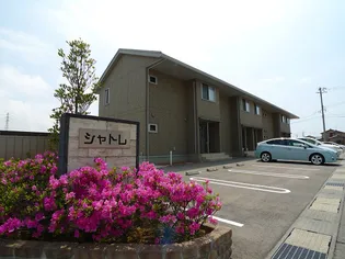 シャトレの画像