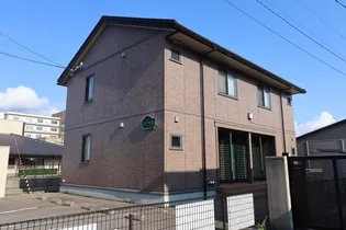 ステラ圭の画像