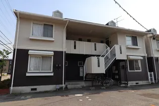 アドニスT M №3№5 №5の画像