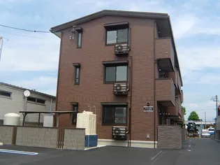 カメリアの画像