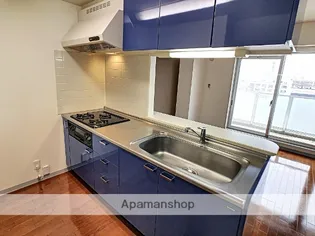 四季の街 ドゥ・モンターニュ泉【701号室】のキッチン