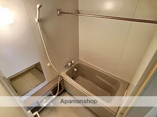 四季の街 ドゥ・モンターニュ泉【701号室】の風呂