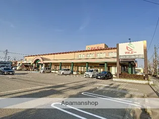 エリカントM【205号室】の周辺