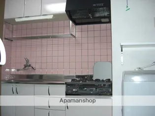 ノースヴィレッジⅡ【405号室】のその他画像