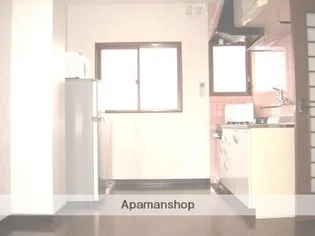 ノースヴィレッジⅡ【603号室】のキッチン