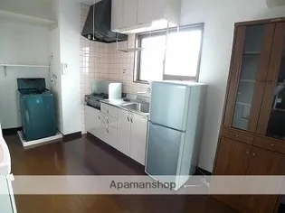 ノースヴィレッジⅡ【501号室】のキッチン